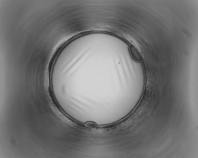 X0000113321080200910051120