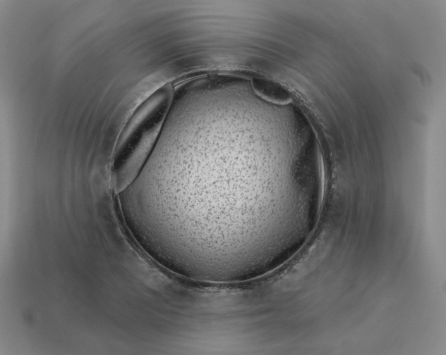 X0000113321081200910051120