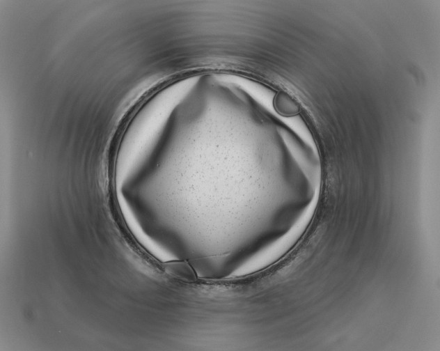 X0000113321082200910051120