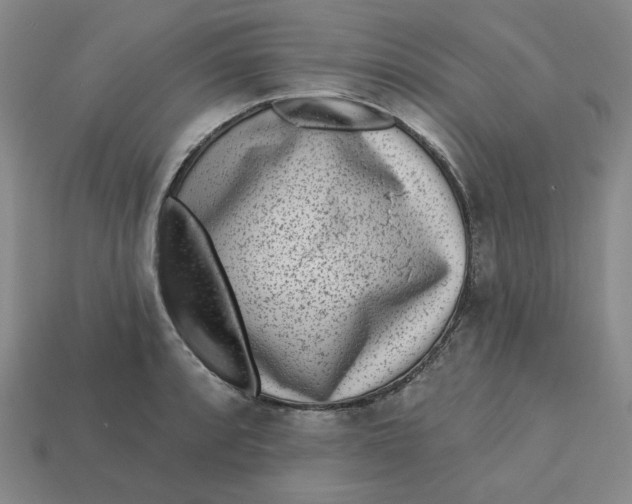 X0000113321088200910051120