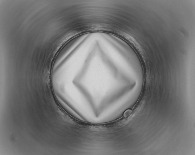 X0000113321089200910051120