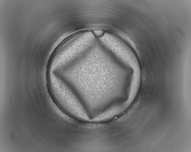 X0000113321091200910051120