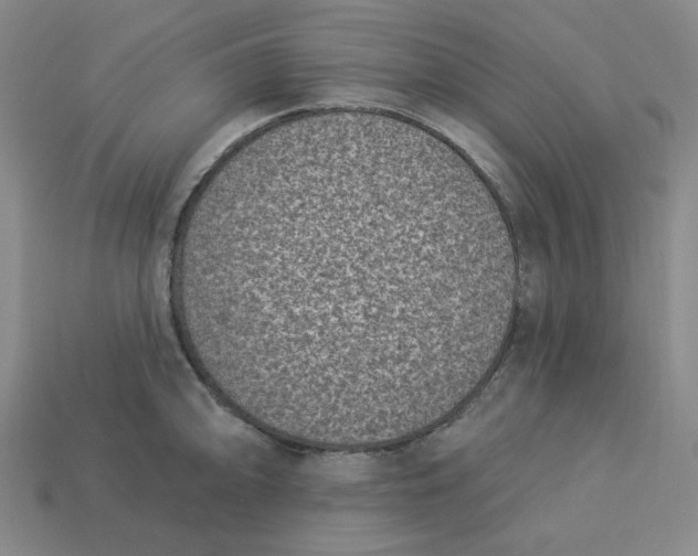 X0000113321094200910051120