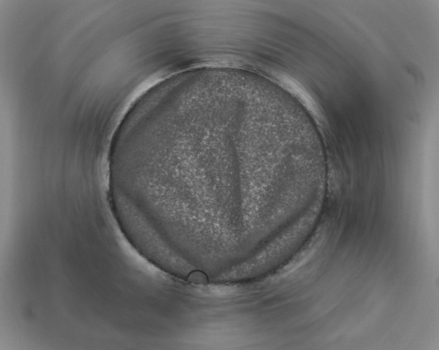 X0000113321095200910051120