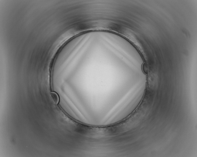 X0000113321096200910051120