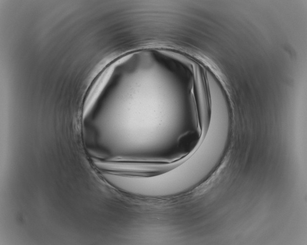 X0000113321097200910051120