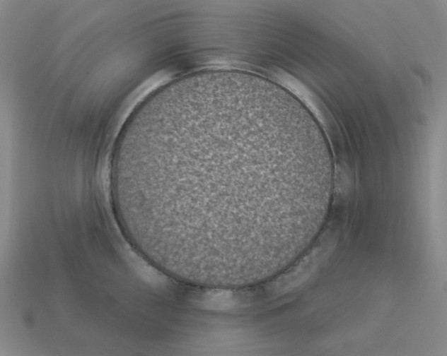 X0000113321098200910051120