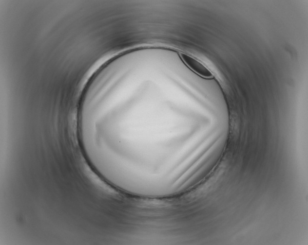 X0000113321100200910051120