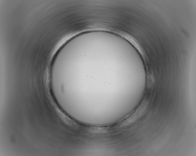 X0000113321101200910051120