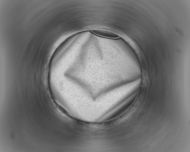 X0000113321102200910051120