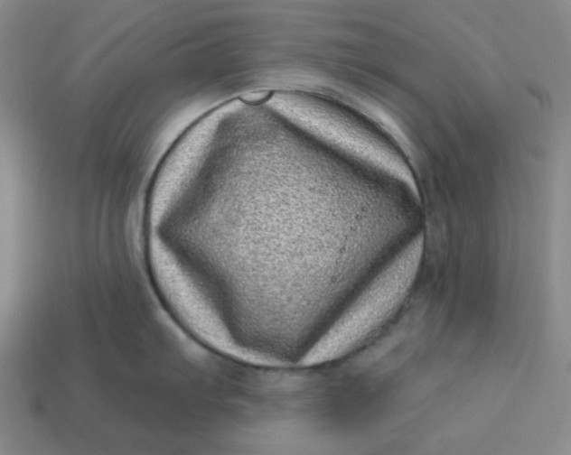 X0000113321103200910051120