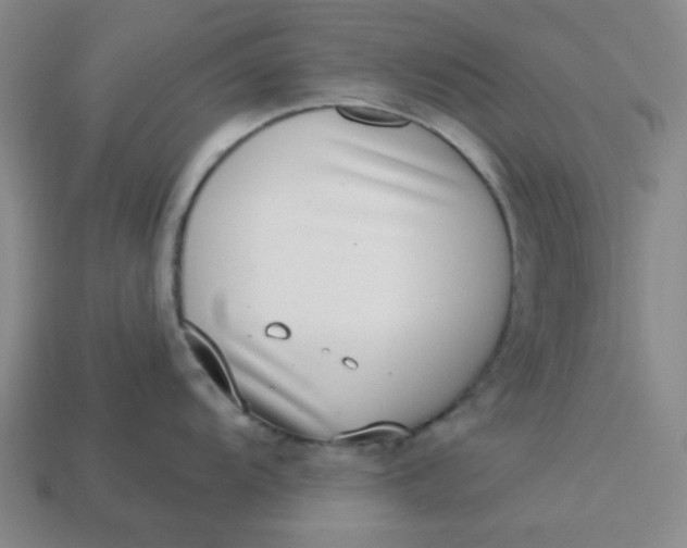 X0000113321104200910051120