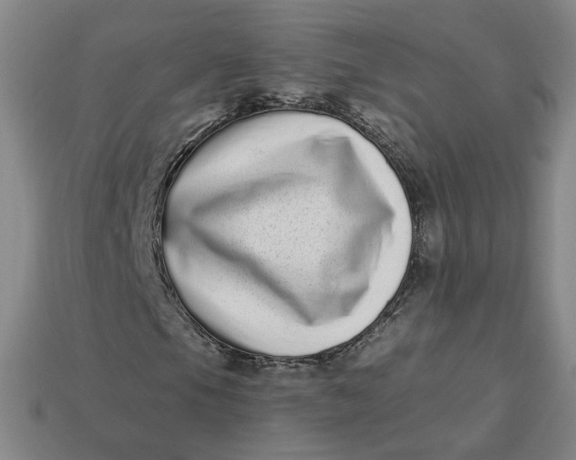 X0000113321105200910051119