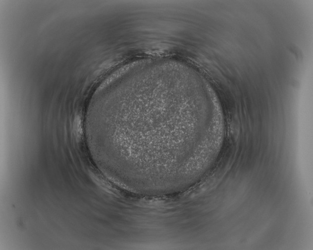 X0000113321106200910051119