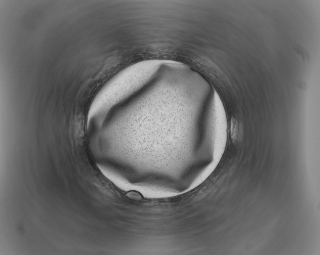 X0000113321107200910051119