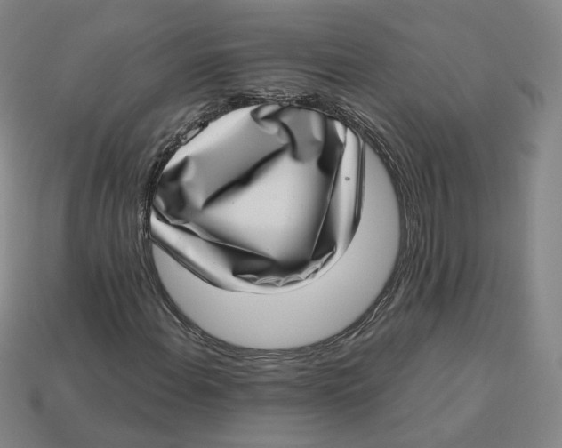 X0000113321108200910051119