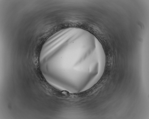 X0000113321109200910051119