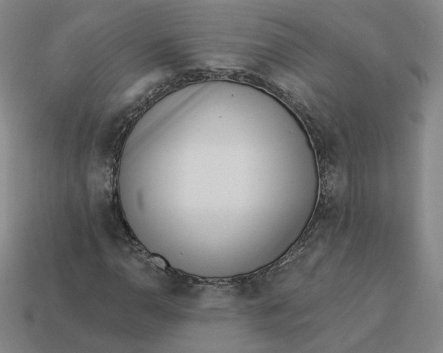 X0000113321110200910051119