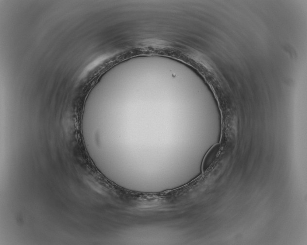 X0000113321112200910051119