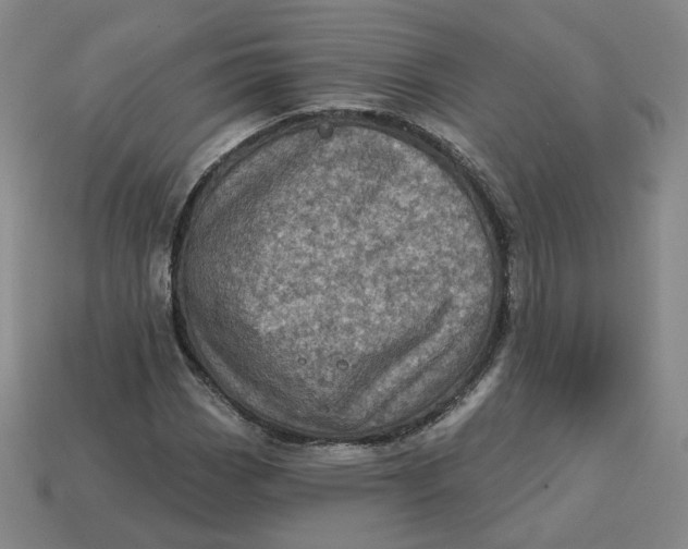 X0000113321113200910051119