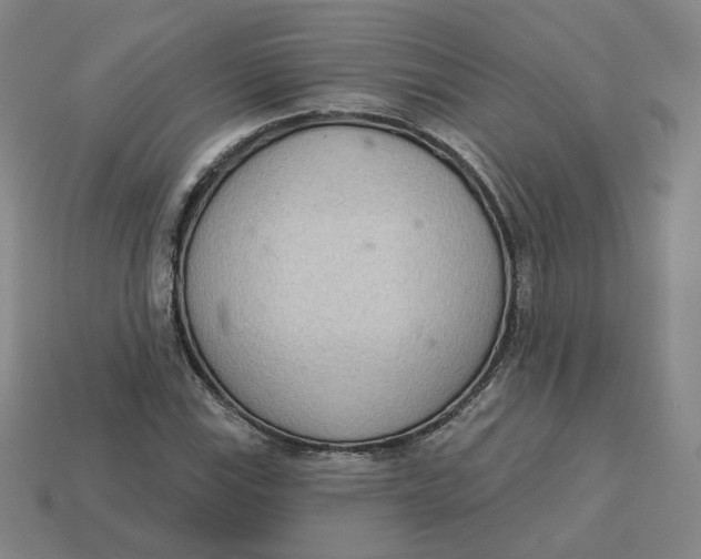 X0000113321115200910051119