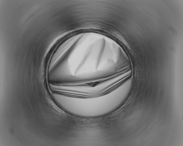 X0000113321116200910051119