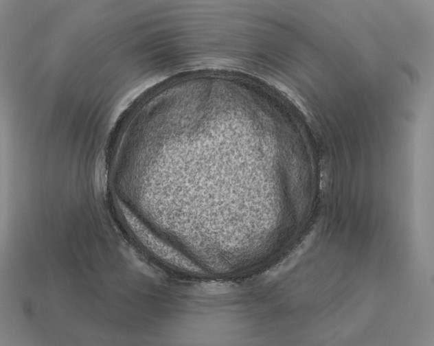 X0000113321117200910051119