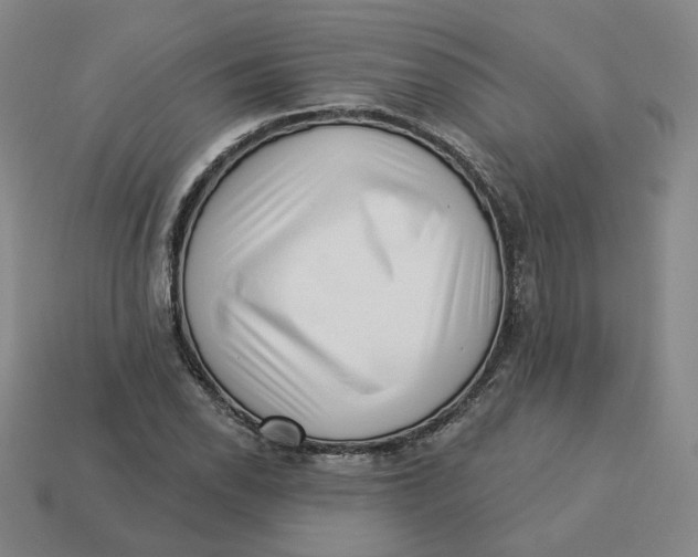 X0000113321118200910051119