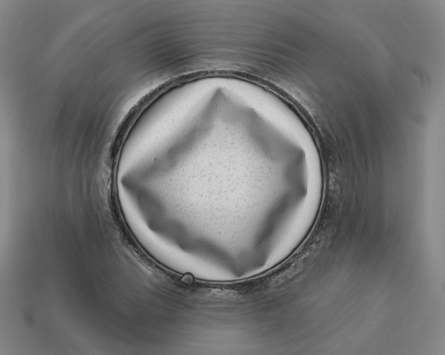 X0000113321119200910051119