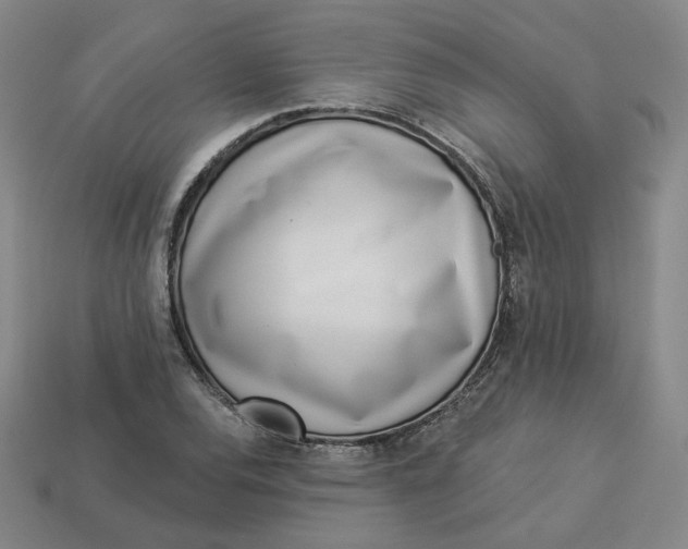 X0000113321120200910051119