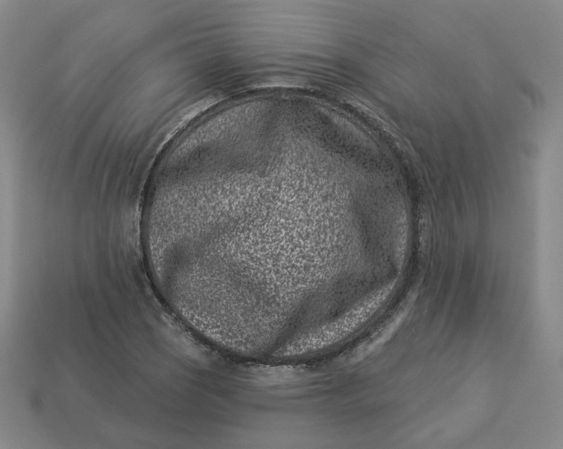 X0000113321121200910051119