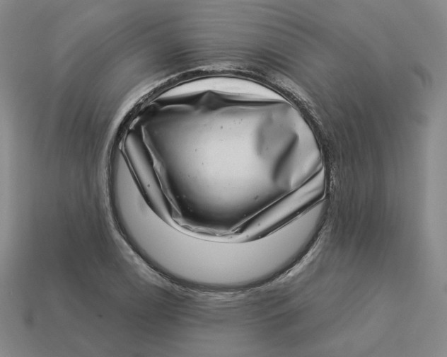 X0000113321122200910051119