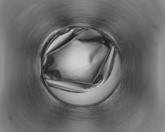 X0000113321123200910051119