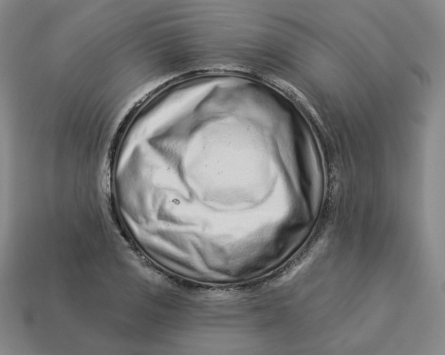 X0000113321125200910051119