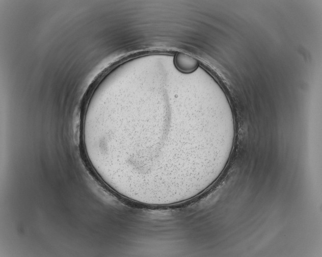 X0000113321126200910051119