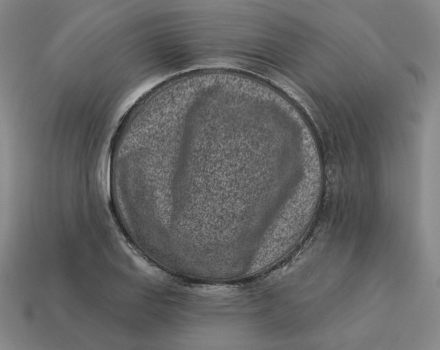 X0000113321127200910051119