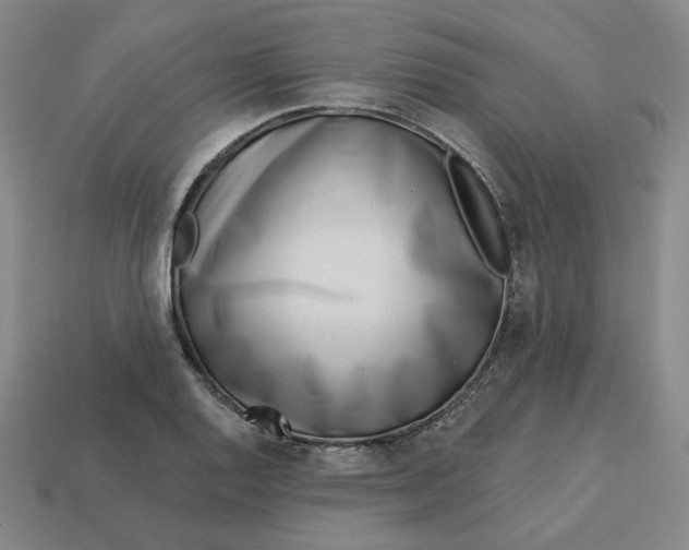 X0000113321128200910051119