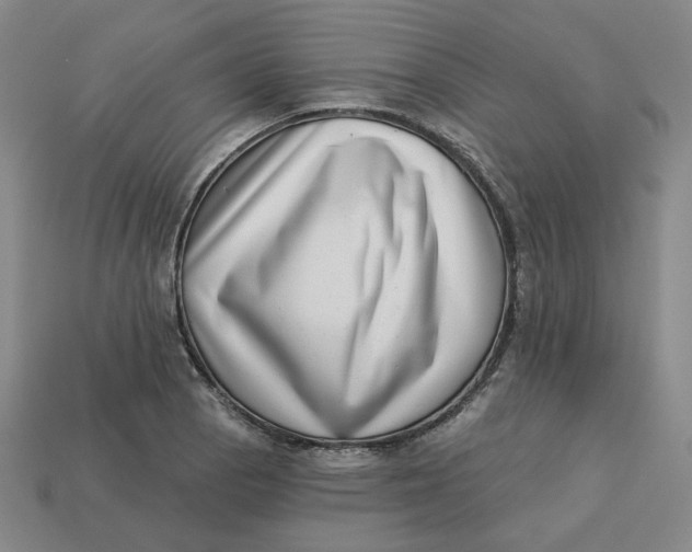 X0000113321129200910051119