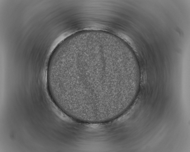 X0000113321130200910051119