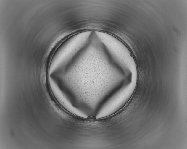 X0000113321131200910051119