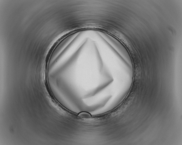 X0000113321132200910051119