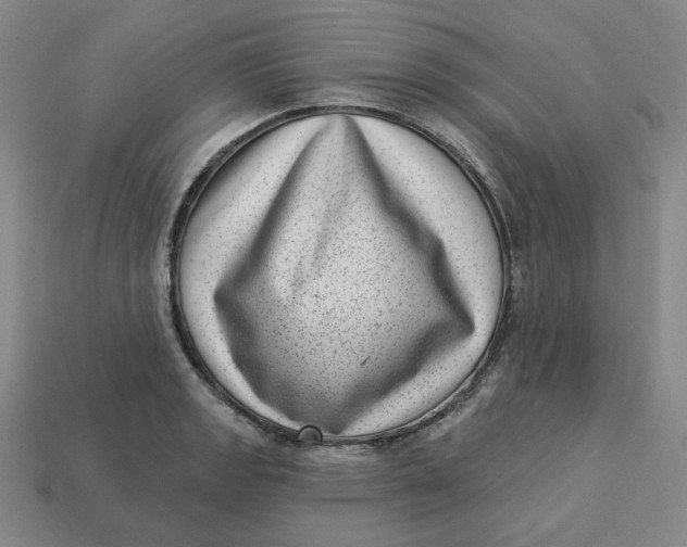 X0000113321133200910051119