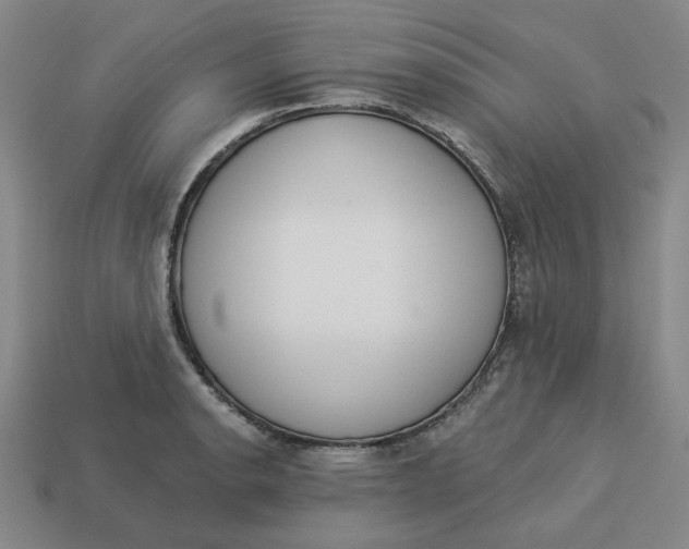 X0000113321134200910051119