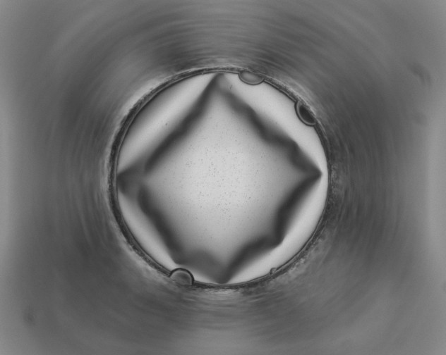 X0000113321135200910051119