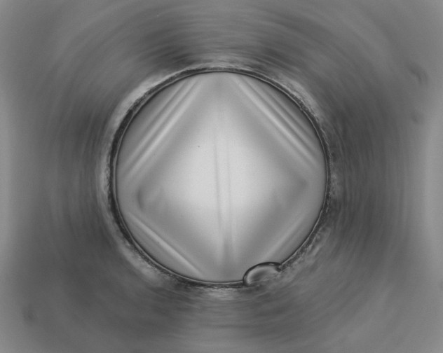 X0000113321136200910051119