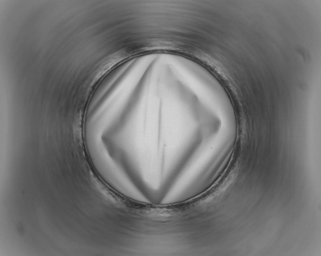 X0000113321137200910051119