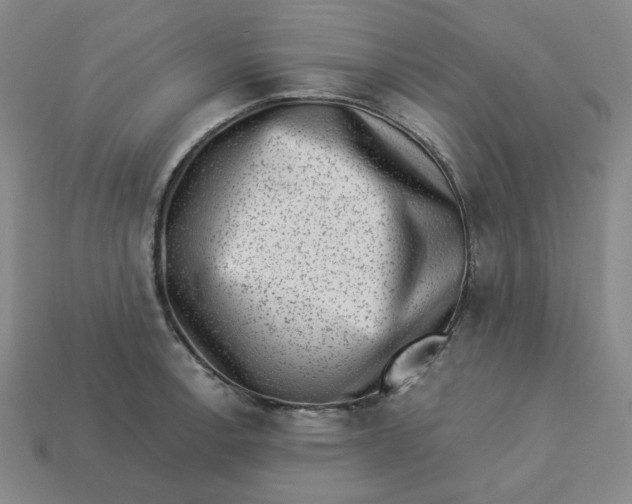 X0000113321138200910051119