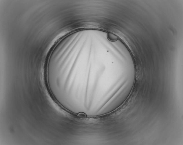 X0000113321139200910051119