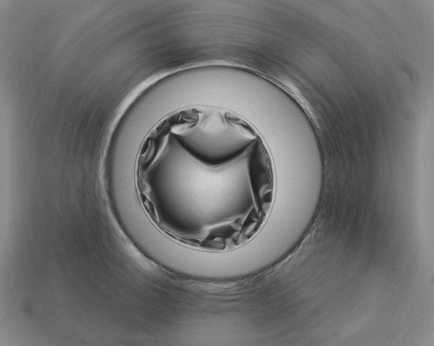 X0000113321140200910051119