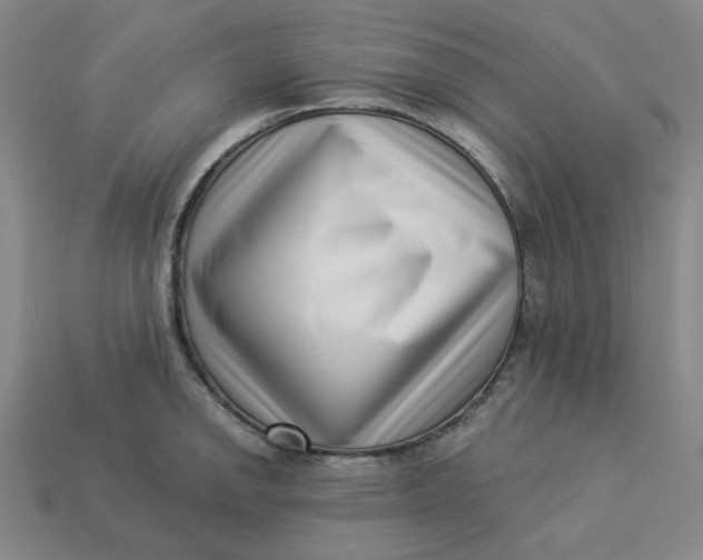 X0000113321142200910051119